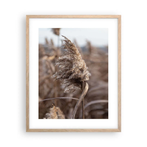 Affiche dans un chêne clair - Poster - Il est temps de s'envoler avec le vent - 40x50 cm