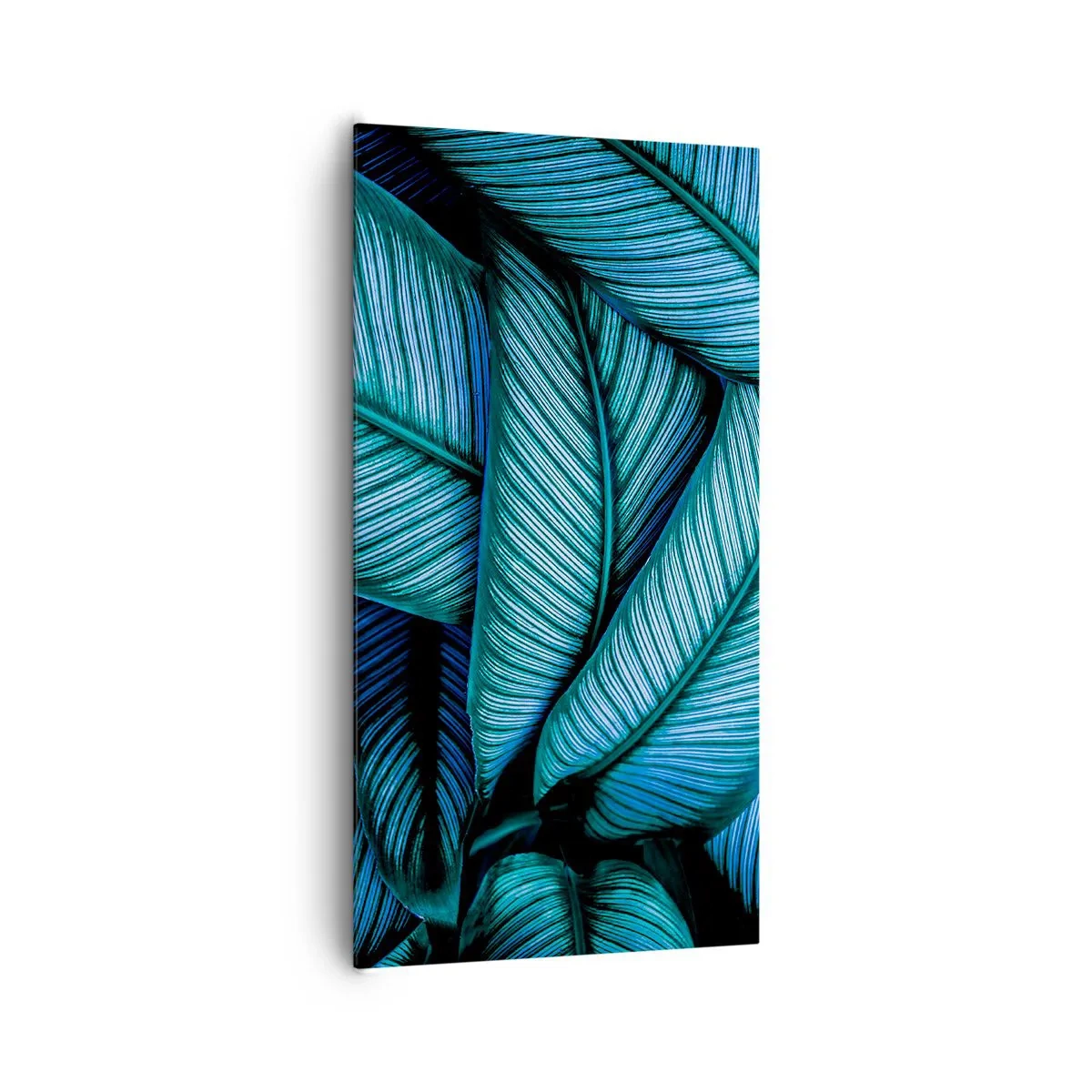 Impression sur toile - Image sur toile - Lignes de vie - 65x120 cm