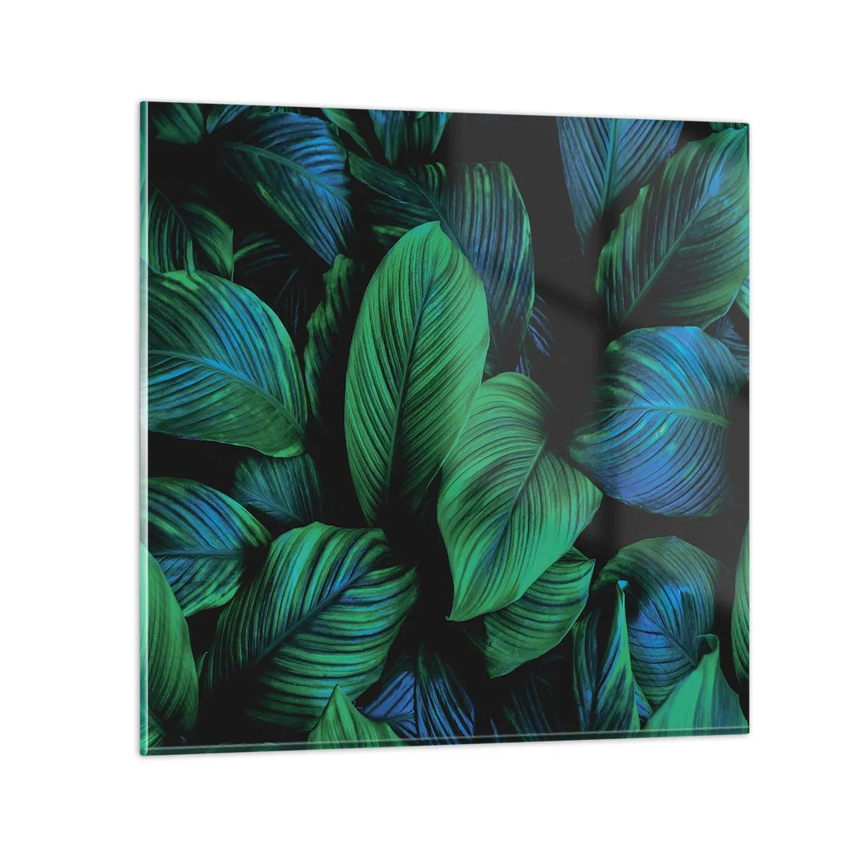 Impression sur verre - Image sur verre - Dans la foule verte - 60x60 cm