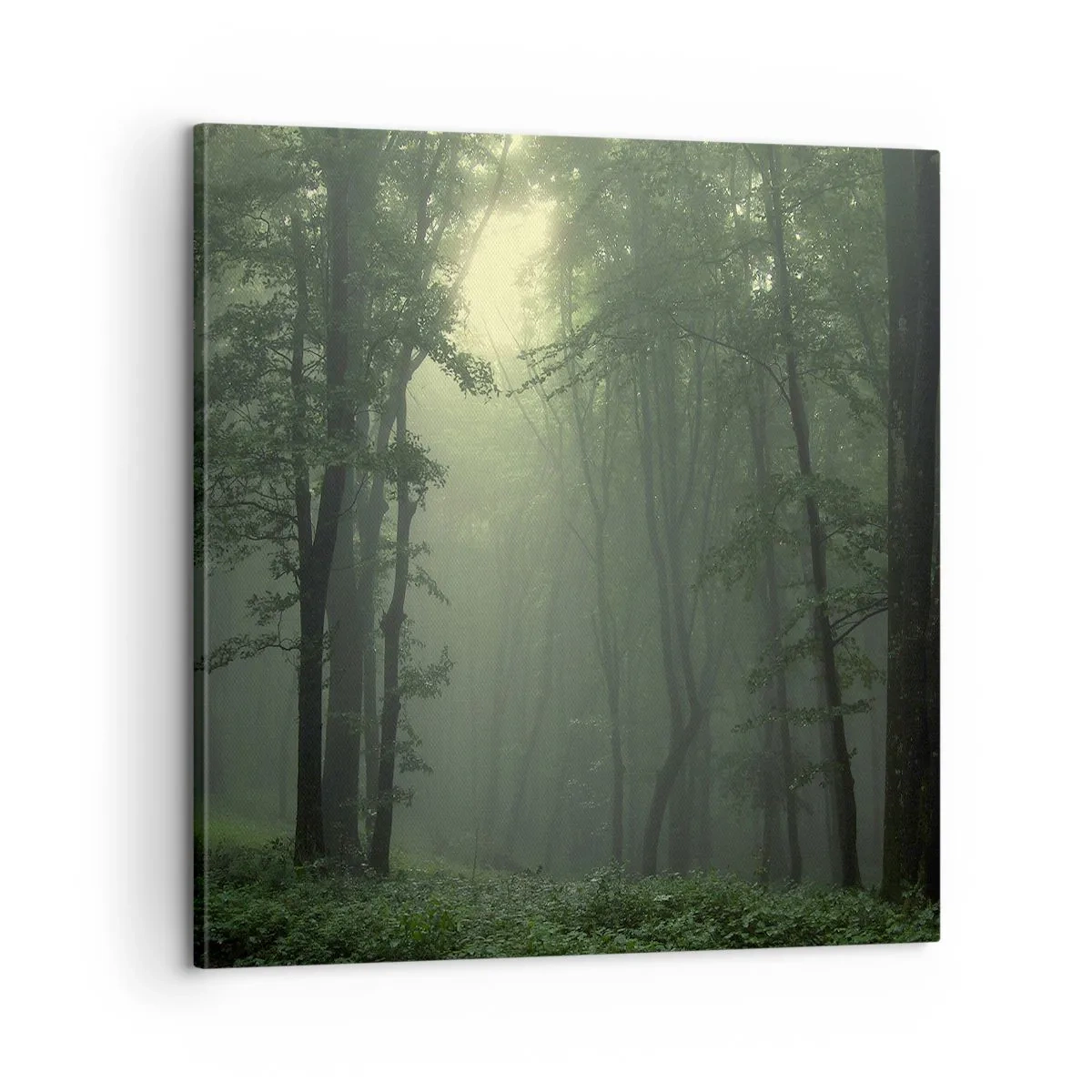 Impression sur toile - Image sur toile - Avant qu'il ne se réveille - 60x60 cm