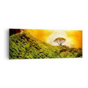 Impression sur toile - Image sur toile - Collines verdoyantes de plantations de thé au coucher du soleil - 140x50cm - Un chemin sinueux, une pente verte - Décoration murale moderne pour le salon et la chambre ARTTOR