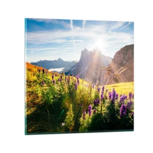 Impression sur verre - Image sur verre - La vie secrète des herbes - 40x40 cm