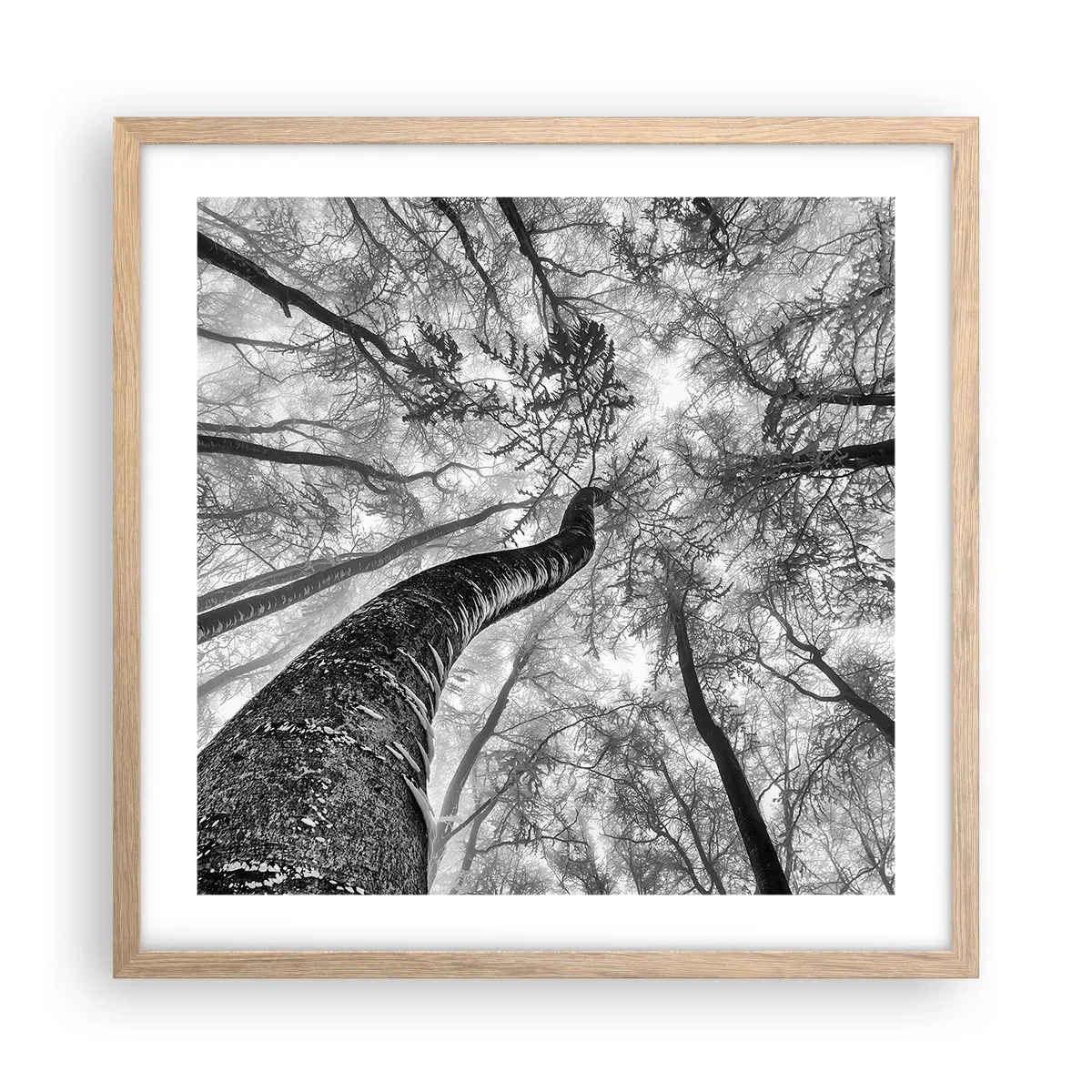 Affiche dans un chêne clair - Poster - Course vers la lumière - 50x50 cm