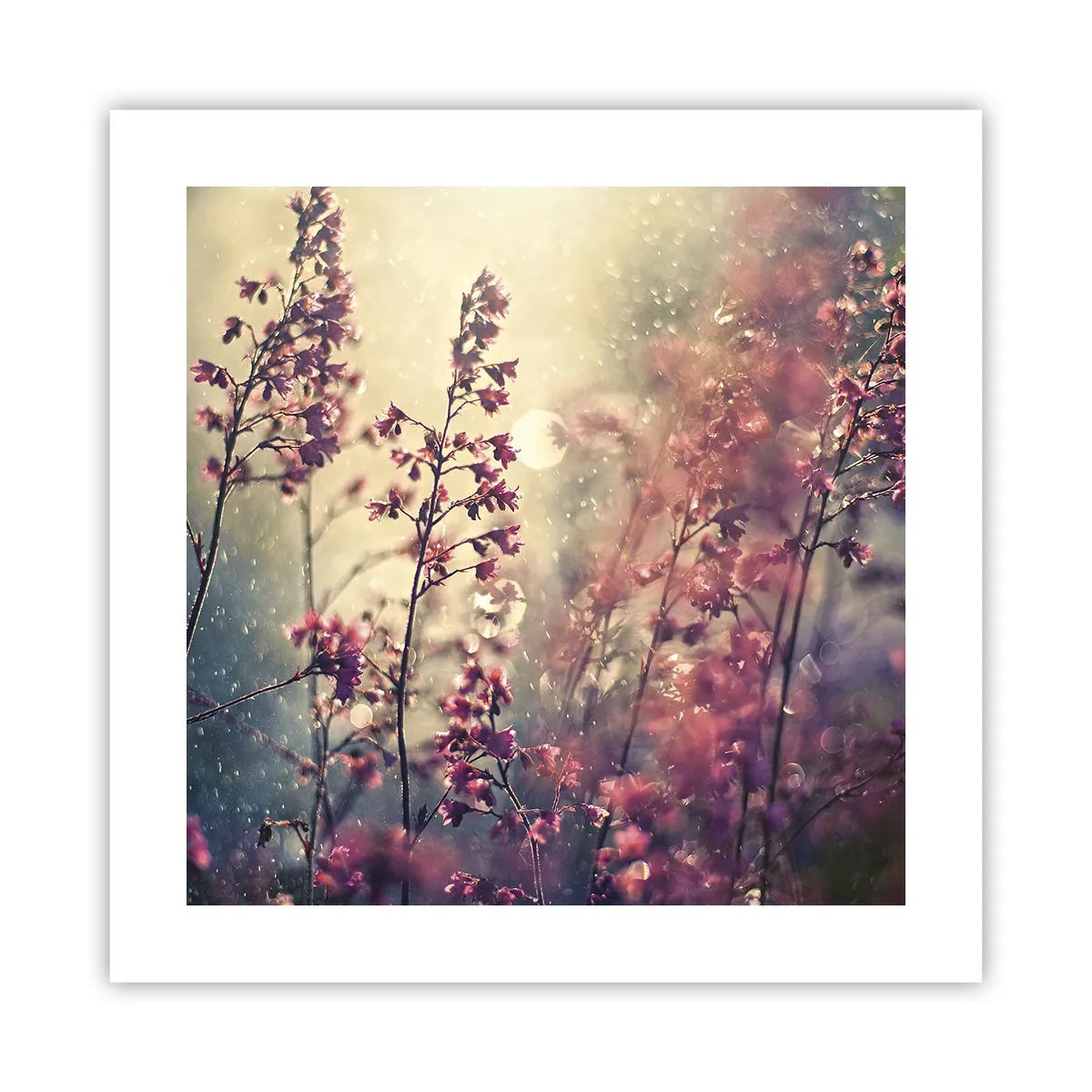 Affiche - Poster - Jardin secret - 40x40 cm