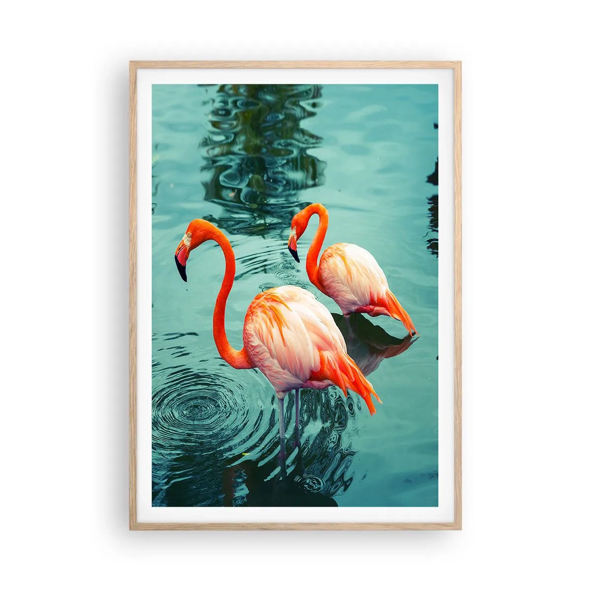 Affiche dans un chêne clair - Poster - Nous sommes à la mode maintenant - 70x100 cm