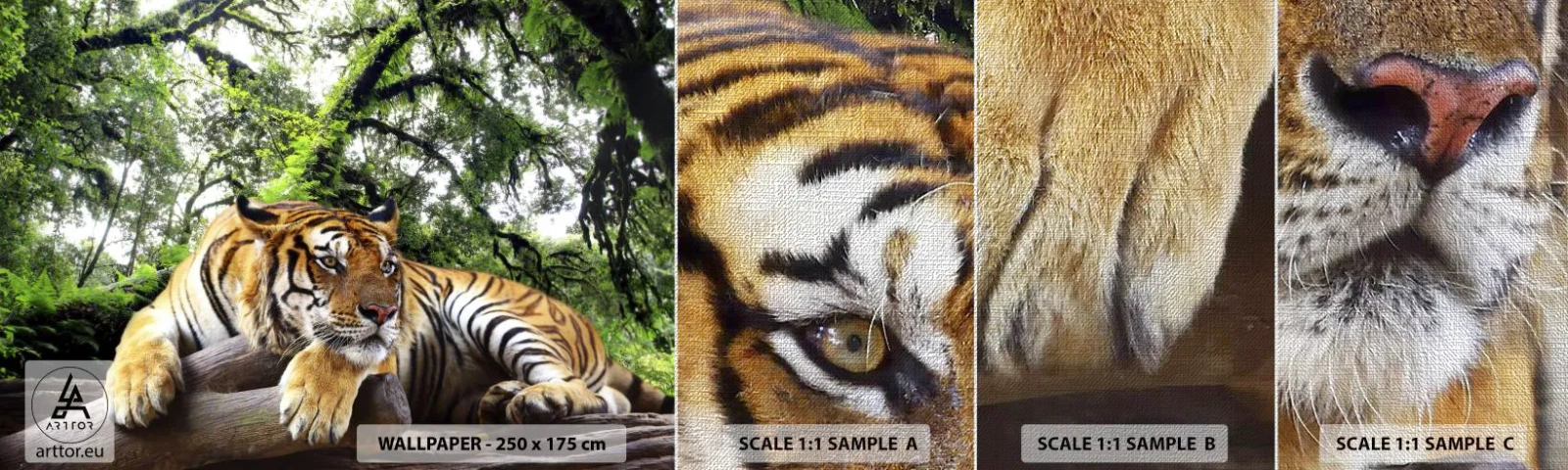 Échantillon de Papier Peint Premium Canvas - Cordialement - Tigre, Animaux, Prédateur - 100x30 cm