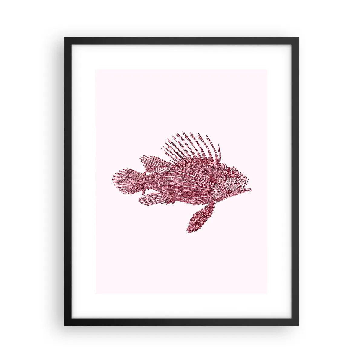 Affiche dans un cadre noir - Poster - Un habitant des eaux exotiques - 40x50 cm