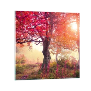 Impression sur verre - Image sur verre - Frénésie de floraison - 70x70 cm