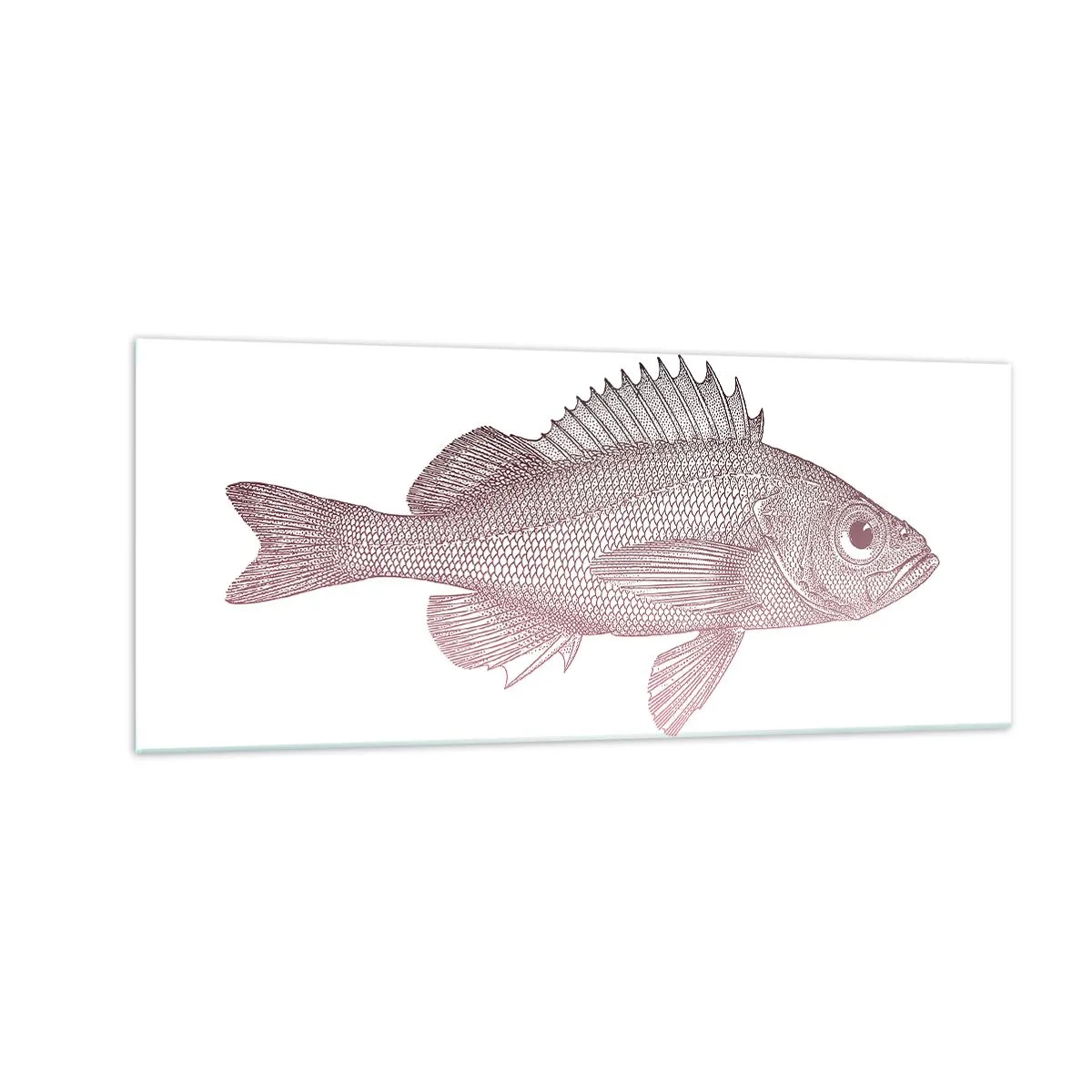 Impression sur verre - Image sur verre - Poisson aux grands yeux - 100x40 cm