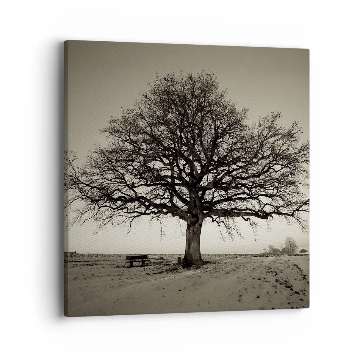 Impression sur toile - Image sur toile - D'ici à l'éternité - 40x40 cm