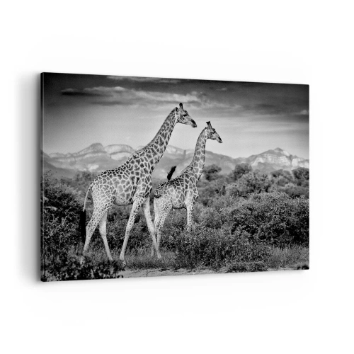 Impression sur toile - Image sur toile - Silhouettes noires et blanches de deux girafes dans la savane - 100x70cm - Hautes sphères en Afrique - Décoration murale moderne pour le salon et la chambre ARTTOR
