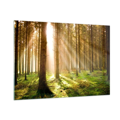 Impression sur verre - Image sur verre - Les rayons du soleil pénètrent à travers les arbres de la forêt - 100x70cm - Les elfes vont bientôt apparaître - Décoration murale moderne pour le salon et la chambre ARTTOR