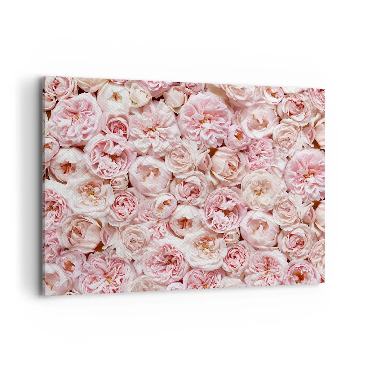 Impression sur toile - Image sur toile - Des roses délicates dans des tons de rose sur toute la surface - 100x70cm - Un lit de roses - Décoration murale moderne pour le salon et la chambre ARTTOR