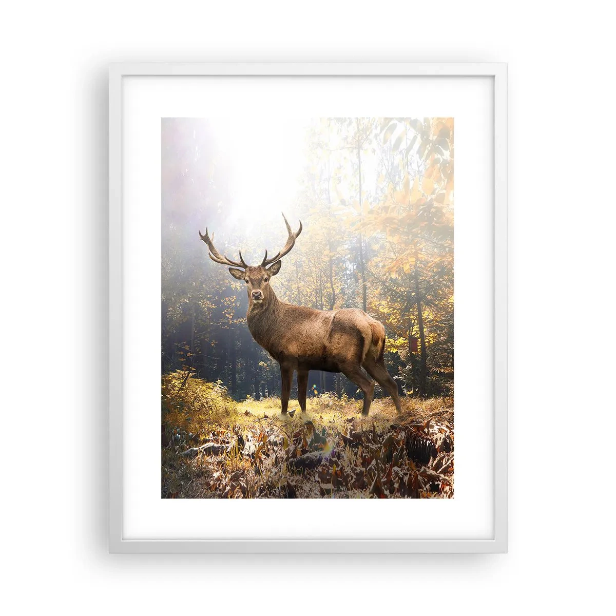 Affiche dans un cadre blanc - Poster - Toute sa majesté - 40x50 cm