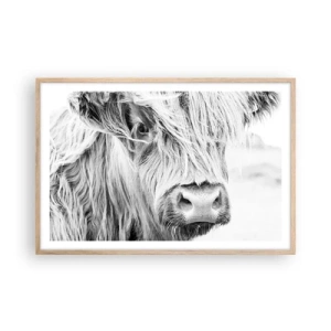Affiche dans un chêne clair - Poster - Sauvagerie écossaise - 91x61 cm