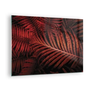 Impression sur verre - Image sur verre - Feuilles rouges d'une plante tropicale sur fond sombre - 70x50cm - Chaleur de la vie - Décoration murale moderne pour le salon et la chambre ARTTOR