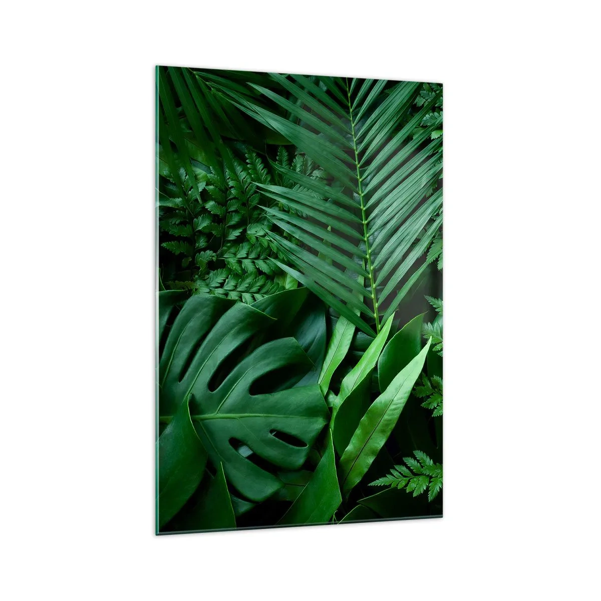 Impression sur verre - Image sur verre - Feuilles tropicales vertes dans une composition dense et naturelle - 70x100cm - Emmitouflé de verdure - Décoration murale moderne pour le salon et la chambre ARTTOR