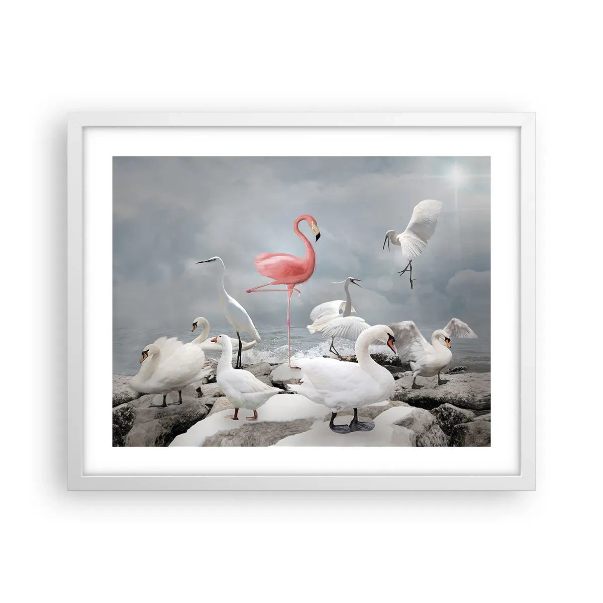 Affiche dans un cadre blanc - Poster - Comment suis-je arrivé là? - 50x40 cm