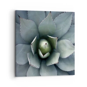 Impression sur toile - Image sur toile - Wabi et observe - 70x70 cm