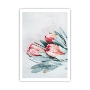 Affiche - Poster - Honte de leur propre beauté - 70x100 cm