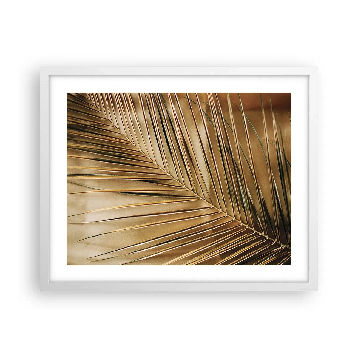 Affiche dans un cadre blanc - Poster - Colonnade naturelle - 50x40 cm