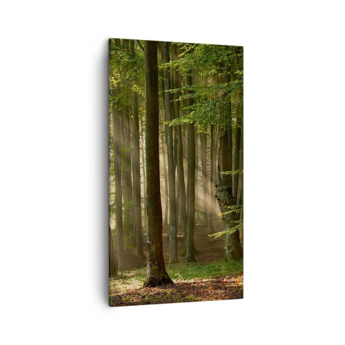 Impression sur toile - Image sur toile - Rayon d'un matin de printemps - 45x80 cm