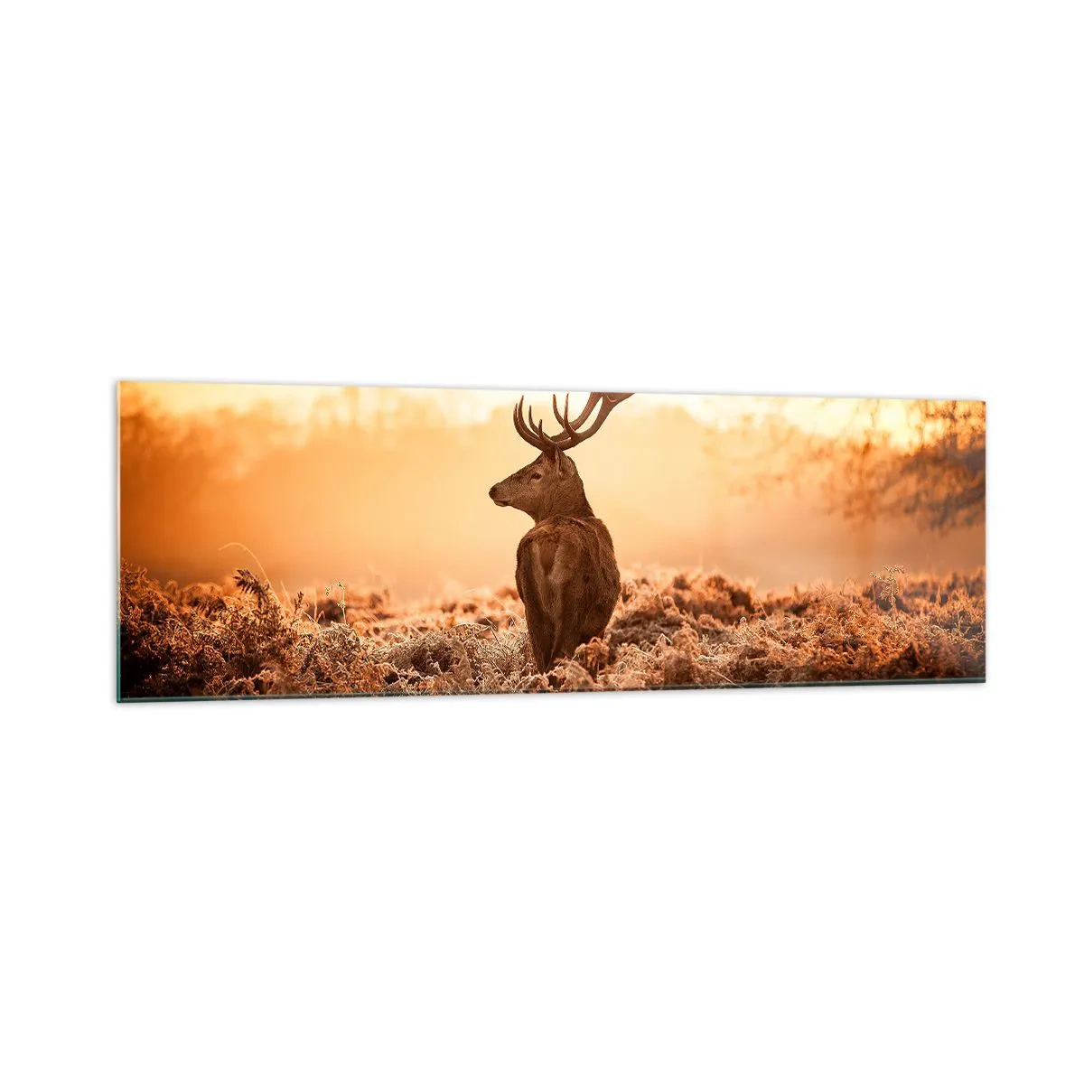 Impression sur verre - Image sur verre - Cerf dans les rayons du soleil levant - 160x50cm - Seigneur du domaine - Décoration murale moderne pour le salon et la chambre ARTTOR