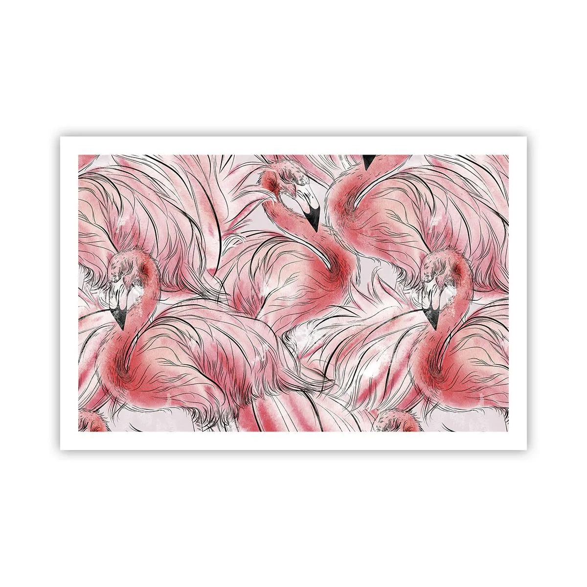 Affiche - Poster - Oiseau corps de ballet - 91x61 cm