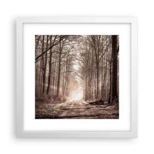 Affiche dans un cadre blanc - Poster - Cathédrale de la forêt - 30x30 cm