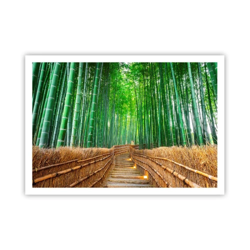 Affiche - Poster - Un chemin dans une dense forêt de bambous - 100x70cm - L'essence de la nature asiatique - Décoration murale moderne pour le salon et la chambre ARTTOR