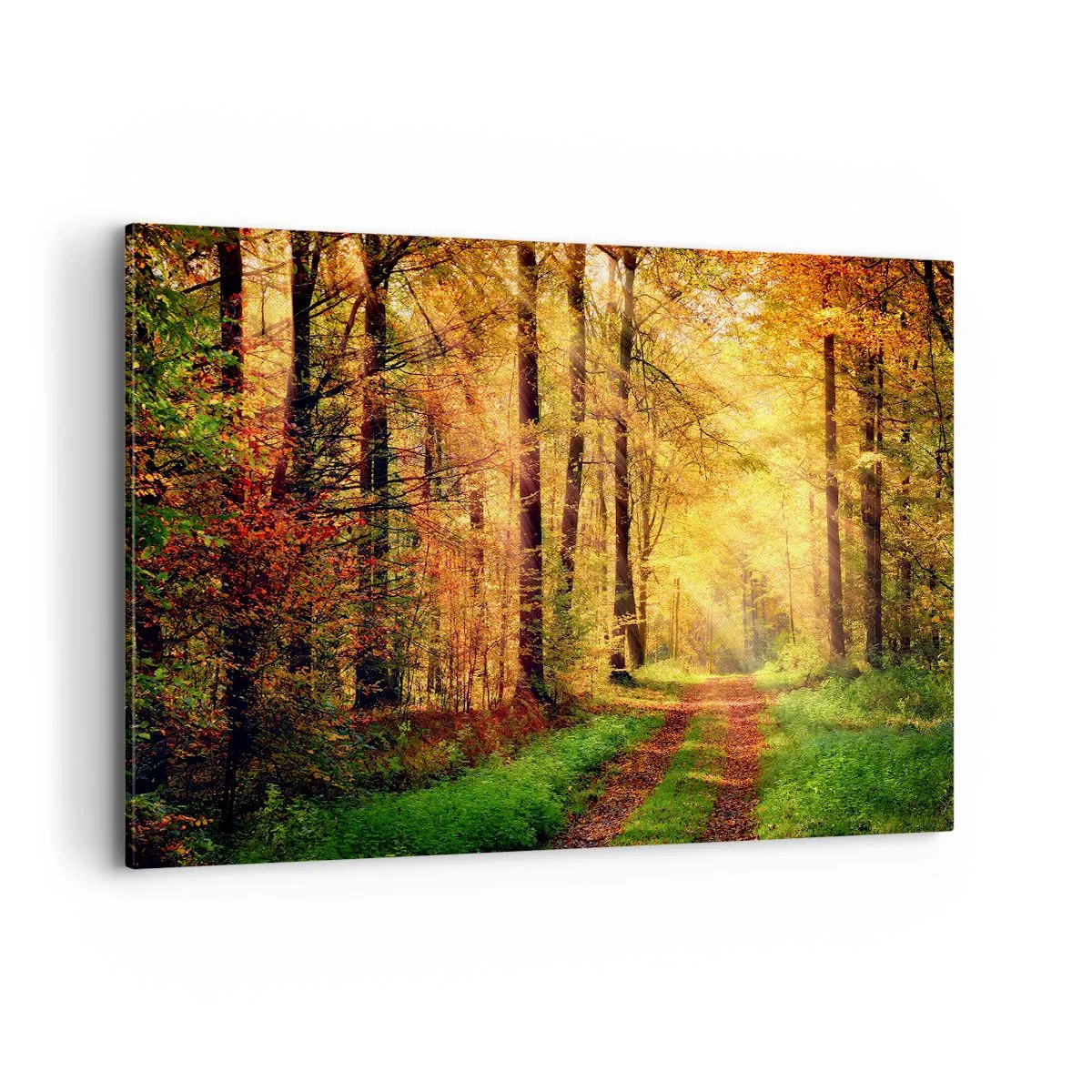 Impression sur toile - Image sur toile - Un chemin forestier entouré d'arbres dorés et verts - 120x80cm - Silence d'or en forêt - Décoration murale moderne pour le salon et la chambre ARTTOR