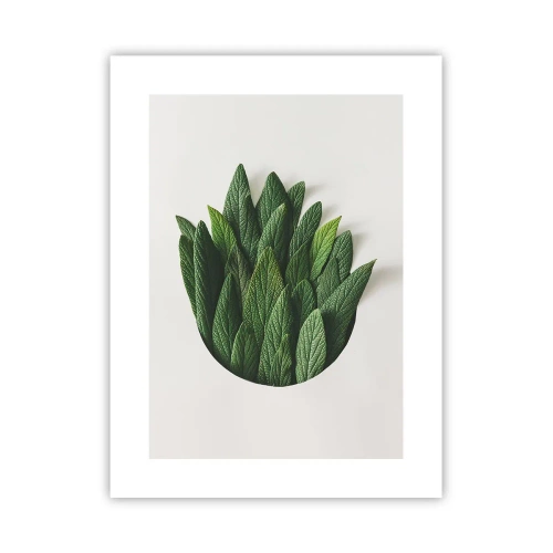 Affiche - Poster - Curiosité sans retenue - 30x40 cm