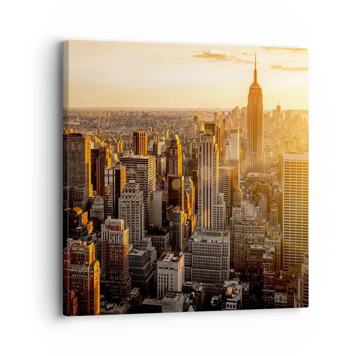 Impression sur toile - Image sur toile - Grandir au soleil - 30x30 cm