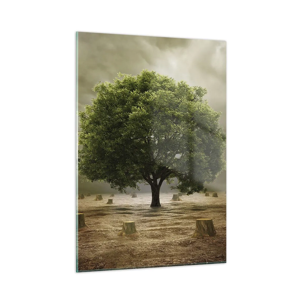 Impression sur verre - Image sur verre - Un arbre vert entouré de troncs contre un ciel sombre - 50x70cm - Tout l'espoir - Décoration murale moderne pour le salon et la chambre ARTTOR