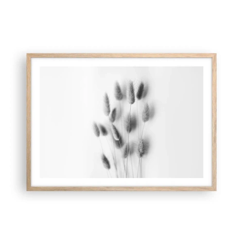 Affiche dans un chêne clair - Poster - Son herbe duveteuse - 70x50 cm