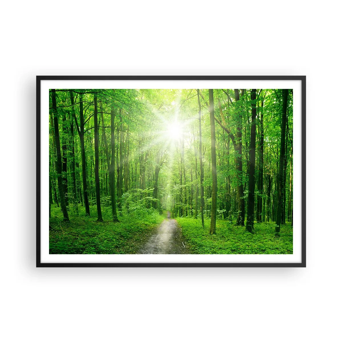 Affiche dans un cadre noir - Poster - Chemin dans la forêt avec les rayons du soleil - 100x70cm - Cathédrale verte - Décoration murale moderne pour le salon et la chambre ARTTOR
