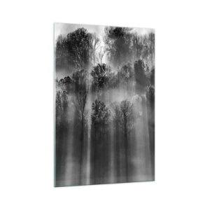Impression sur verre - Image sur verre - Forêt noire et blanche dans la lumière du matin - 70x100cm - Dans les flots de lumière - Décoration murale moderne pour le salon et la chambre ARTTOR