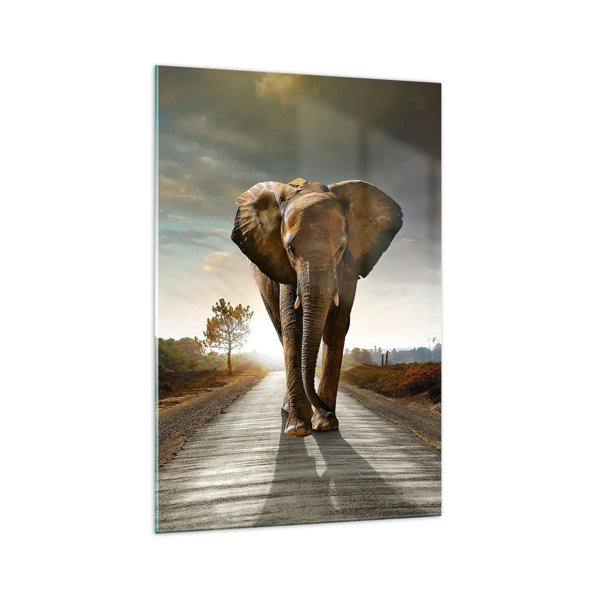 Impression sur verre - Image sur verre - Un éléphant marchant le long d'une route à travers un paysage au coucher du soleil - 70x100cm - Et pas du tout en porcelaine - Décoration murale moderne pour le salon et la chambre ARTTOR
