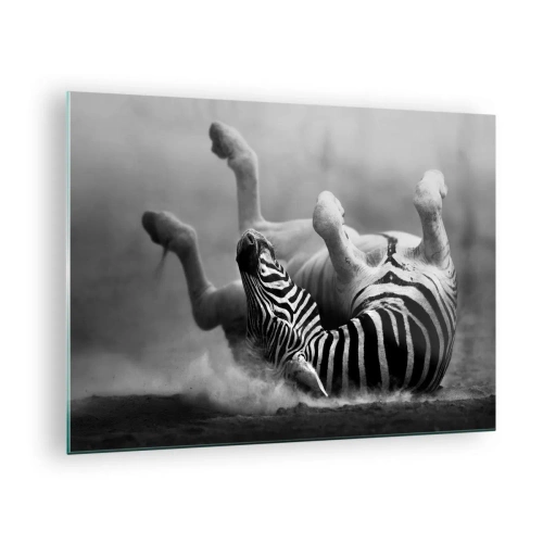 Impression sur verre - Image sur verre - Un zèbre couché dans la savane africaine - 70x50cm - Pas uniquement le cheval en rirait - Décoration murale moderne pour le salon et la chambre ARTTOR