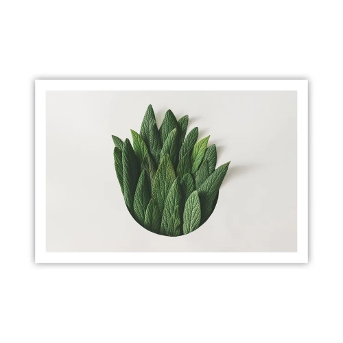 Affiche - Poster - Curiosité sans retenue - 91x61 cm