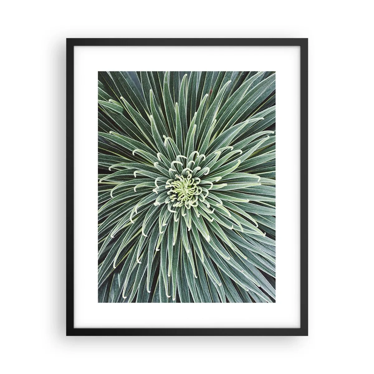 Affiche dans un cadre noir - Poster - Naissance d'une étoile - 40x50 cm