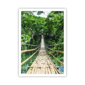 Affiche - Poster - Pont de singe en pleine nature - 70x100 cm
