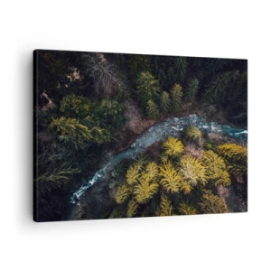 Impression sur toile - Image sur toile - Vue d'en haut d'une forêt avec une rivière sinueuse - 70x50cm - De plus en plus vite - Décoration murale moderne pour le salon et la chambre ARTTOR
