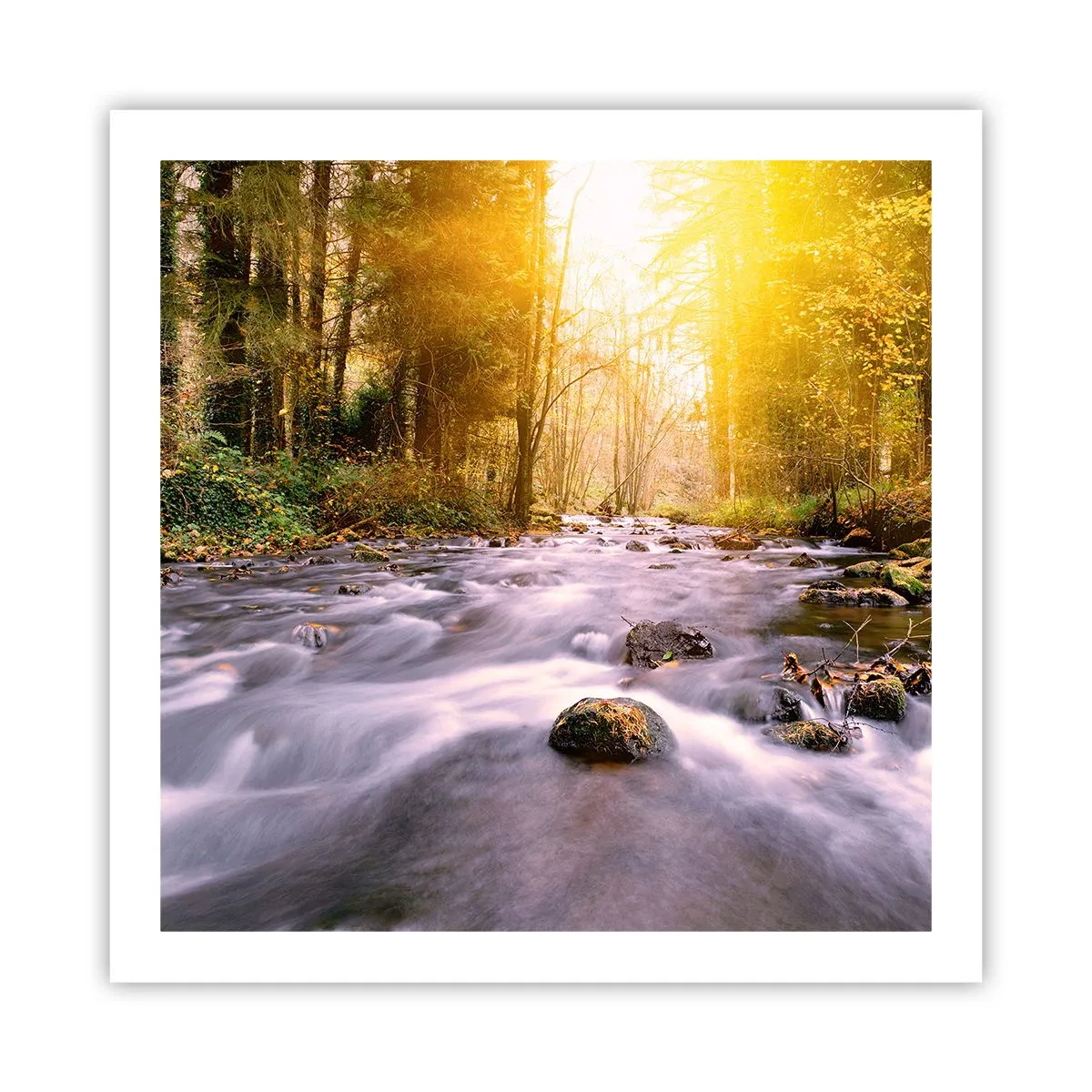 Affiche - Poster - Malachite dans un cadre argent et or - 60x60 cm