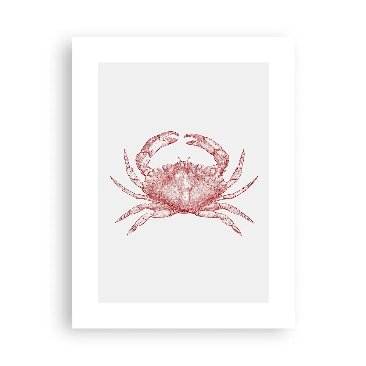 Affiche - Poster - Le crabe des crabes - 30x40 cm