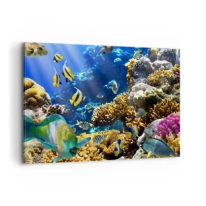 Impression sur toile - Image sur toile - Un récif corallien coloré avec des poissons tropicaux dans les profondeurs de l'océan. - 100x70cm - Beaucoup de circulation sur la route des vacances - Décoration murale moderne pour le salon et la chambre ARTTOR