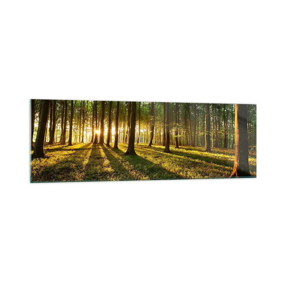 Impression sur verre - Image sur verre - Le soleil couchant dans la forêt de feuillus - 160x50cm - Toutes les photographies de printemps - Décoration murale moderne pour le salon et la chambre ARTTOR