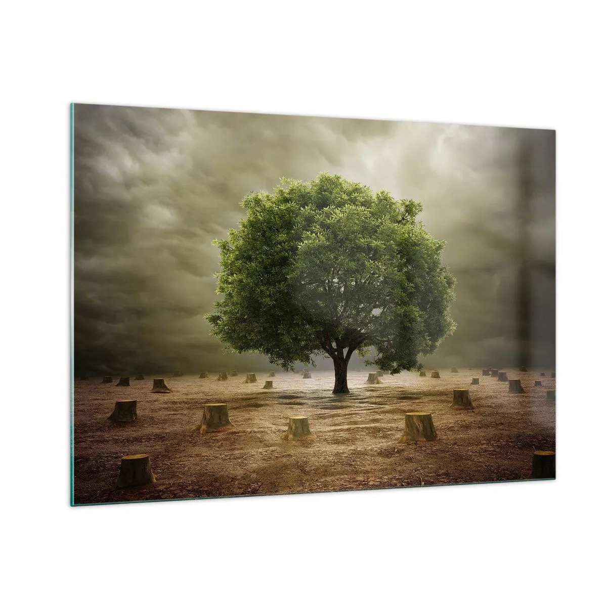 Impression sur verre - Image sur verre - Un arbre vert entouré de troncs contre un ciel sombre - 100x70cm - Tout l'espoir - Décoration murale moderne pour le salon et la chambre ARTTOR