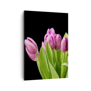 Impression sur toile - Image sur toile - Tulipes roses avec des gouttes de rosée sur fond noir - 50x70cm - Joie printanière des lilas - Décoration murale moderne pour le salon et la chambre ARTTOR