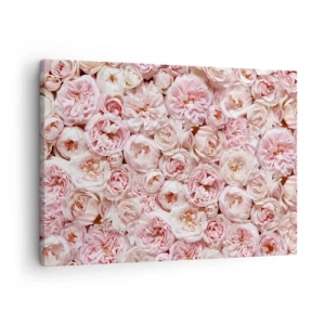 Impression sur toile - Image sur toile - Des roses délicates dans des tons de rose sur toute la surface - 70x50cm - Un lit de roses - Décoration murale moderne pour le salon et la chambre ARTTOR